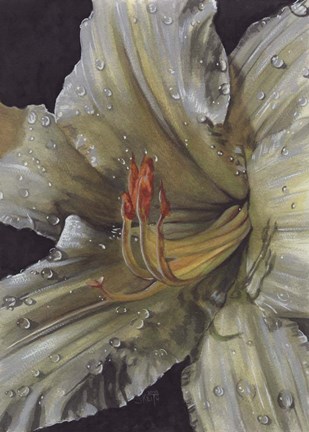 Framed Diamonds Print