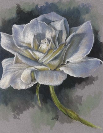 Framed Innocence Print