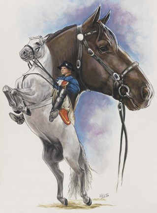 Framed Lippizaner Print