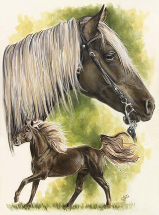 Framed Rocky Mountain Horse Print