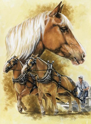 Framed Belgian Print