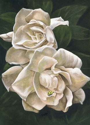 Framed Redolent Print