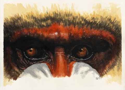 Framed Eye-Catching Print