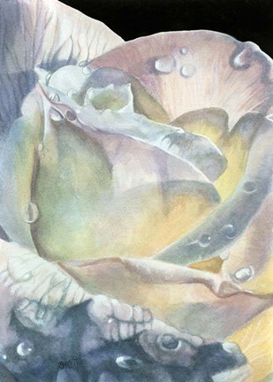 Framed Sparkler Print