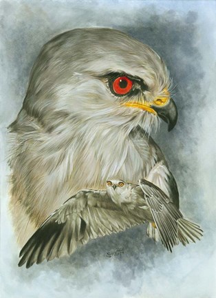 Framed Velocity Print