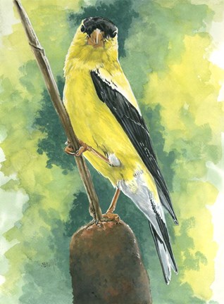 Framed Aureate Print