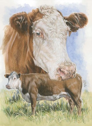 Framed Hereford Print