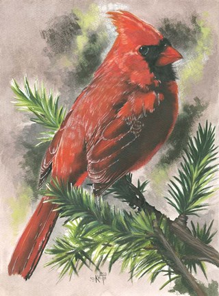 Framed Show-Off Print