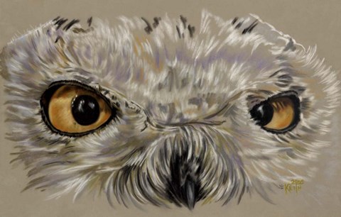 Framed Snowy Owl Print