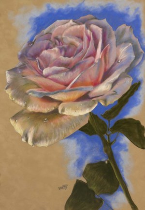 Framed Opal Essence Print