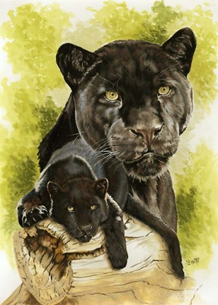 Framed Melancholy Print