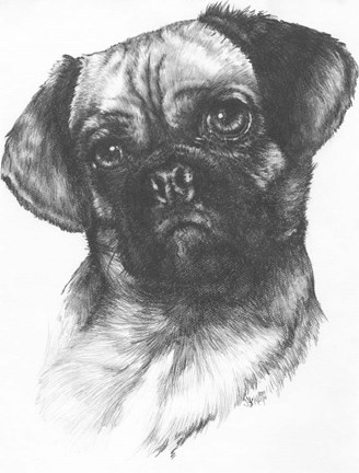 Framed Puggle Print