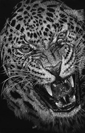 Framed Outrage Print