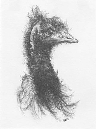 Framed 100% Humidity Print