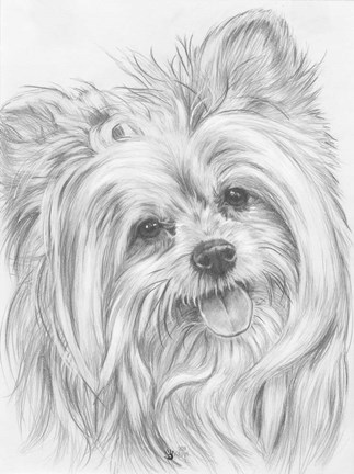 Framed Shi-Chi Print