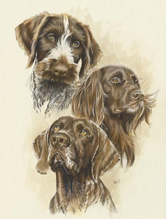 Framed German Pointers Print