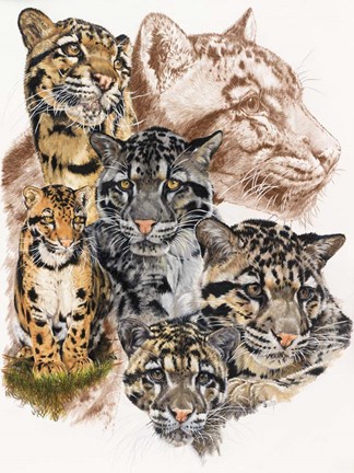 Framed Clouded Leopard with Ghost Image Print