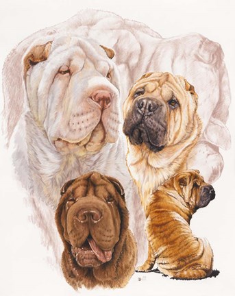 Framed Shar Pei With Ghost Print