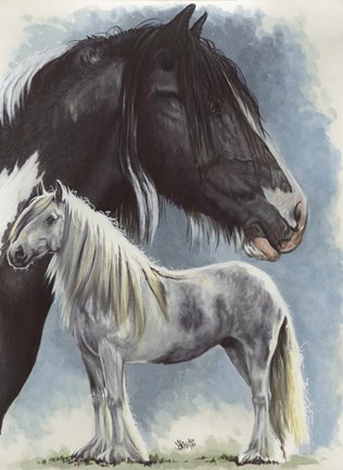 Framed Gypsy Cob Print