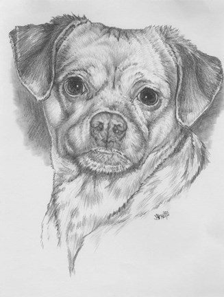 Framed Pugwawa Print