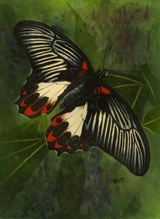 Framed Simplicity Print