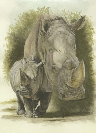 Framed Colossal Print