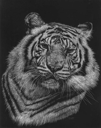 Framed Variance Print