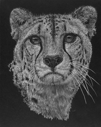 Framed Imperial Print