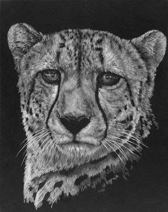 Framed Impressive Print