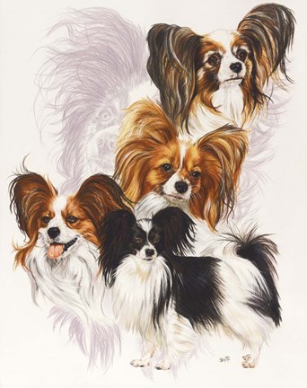 Framed Papillion Print