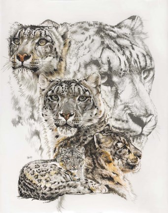 Framed Snow Leopard and Ghost Image Print