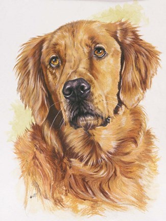 Framed Golden Retriever Print