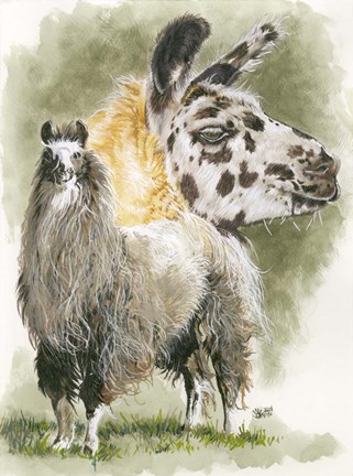 Framed Peevish Print