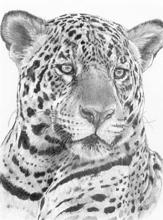 Framed Placate Print