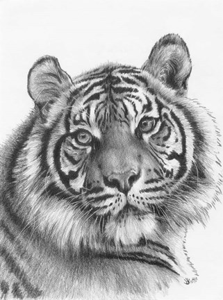 Framed Shimmer Print