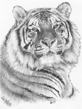 Framed Voyager Print