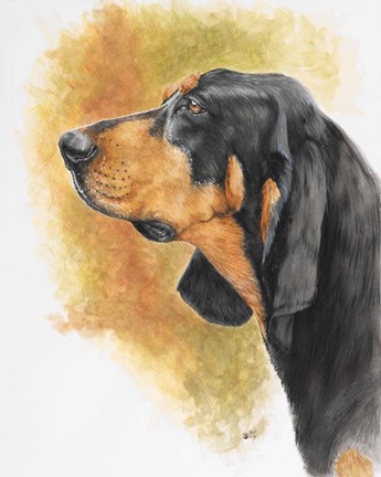 Framed Black and Tan CoonHound Print