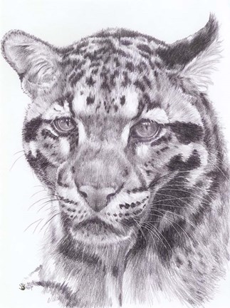 Framed Blatant Print