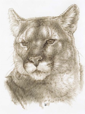 Framed Maverick Print