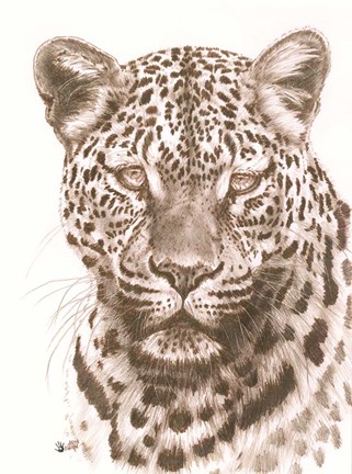 Framed Potency Print