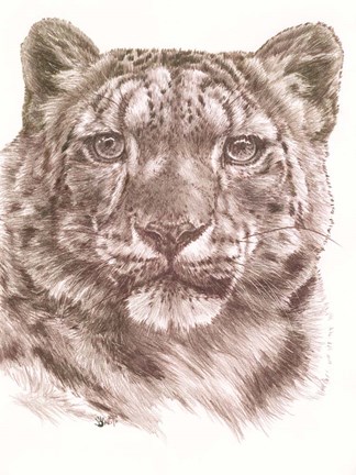 Framed Splended Print