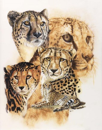 Framed Expeditious Print