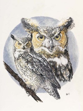 Framed Intrepid Print