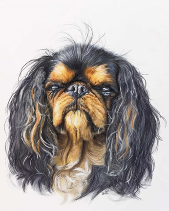 Framed King Charles Spaniel Print