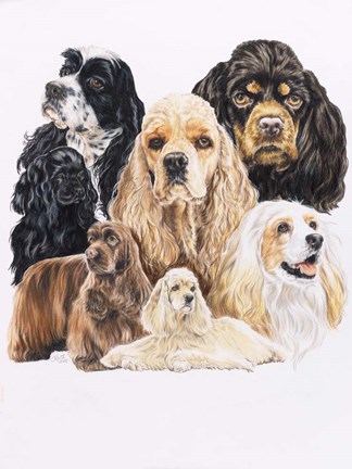 Framed Cocker Spaniel Print