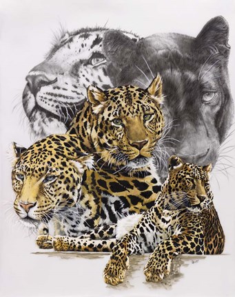 Framed Elusive Print