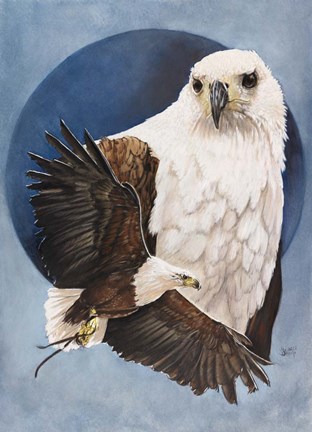 Framed Unrivaled Print