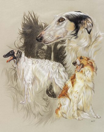 Framed Borzoi Print