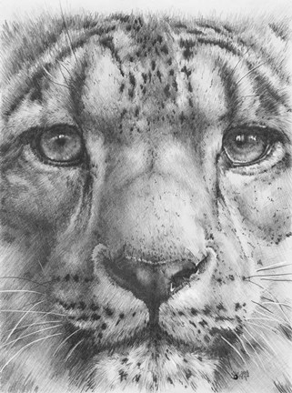 Framed Up Close Snow Leopard Print