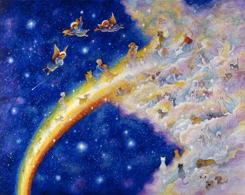 Framed Rainbow Bridge Print